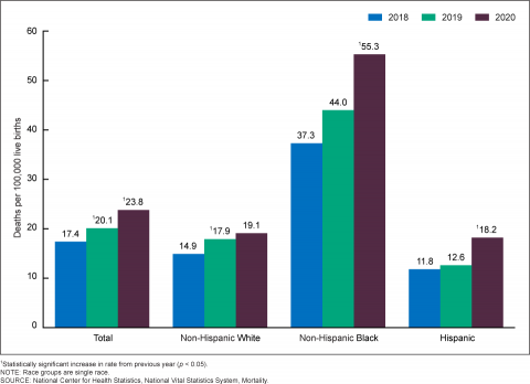 Maternal mortality rates in the United States (CDC) Maternal mortality rates in the United States (CDC)