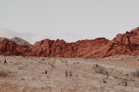 Desert scene (Unsplash/Neonbrand)