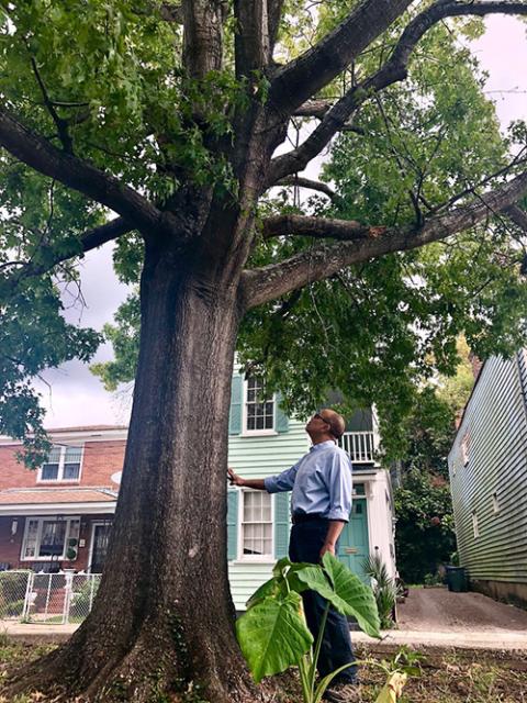 Jeffery Robinson at the "Hanging Tree" on Ashley Avenue in Charleston, South Carolina (Courtesy of Sony Pictures Classics/Jesse Wakeman) Jeffery Robinson at the "Hanging Tree" on Ashley Avenue in Charleston, South Carolina (Courtesy of Sony Pictures Classics/Jesse Wakeman)
