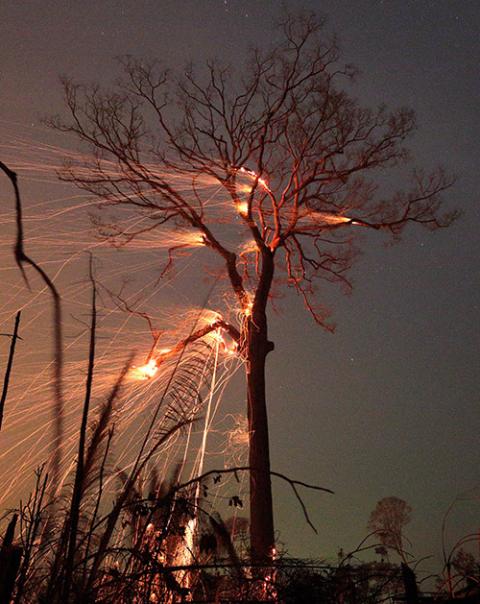 A section of the Amazon jungle burns as it is cleared by farmers in Rio Pardo, Brazil, Sept. 15, 2020. (CNS/Reuters/Ricardo Moraes)