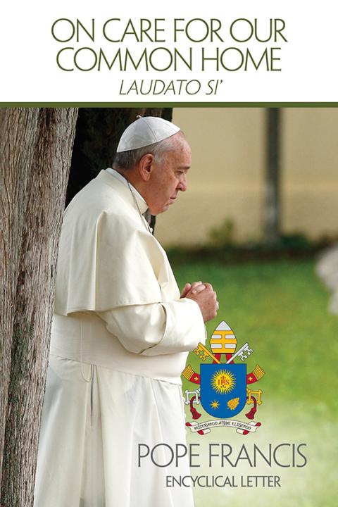 This is the cover of the English edition of Pope Francis' encyclical on the environment, "Laudato Si', on Care for Our Common Home." (CNS/Courtesy of U.S. Conference of Catholic Bishops)