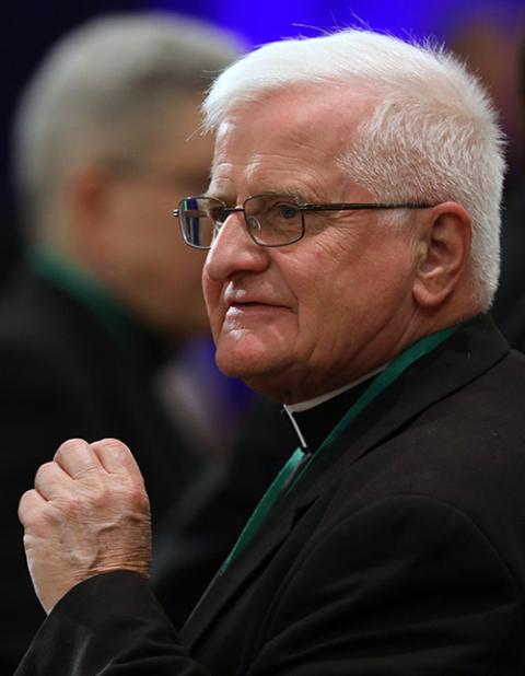 Auxiliary Bishop Edward Grosz of Buffalo, New York (CNS/Bob Roller) Auxiliary Bishop Edward Grosz of Buffalo, New York (CNS/Bob Roller)