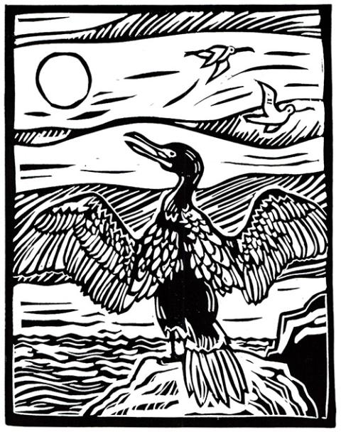 Double-Crested Cormorant, linocut print, ink and paper, 9x7 inches, 2022. By Sarah Fuller, an artist in Los Angeles. Her work can be found at sarahfullerart.com.