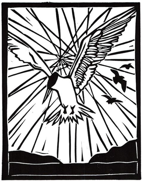 Elegant Tern, linocut print, ink and paper, 9x7 inches, 2022. By Sarah Fuller, an artist in Los Angeles. Her work can be found at sarahfullerart.com.