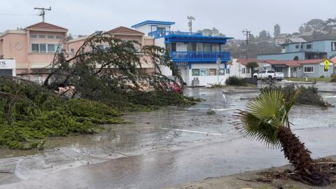 Fallen trees lie on the street following a bomb cyclone in Rio del Mar, Calif., Jan. 11, 2023.