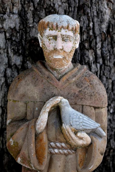 A statue of St. Francis of Assisi, patron of animals and the environment, is pictured in a garden at a community in Austin, Texas, Sept. 9, 2021. (OSV News/CNS file/Bob Roller)