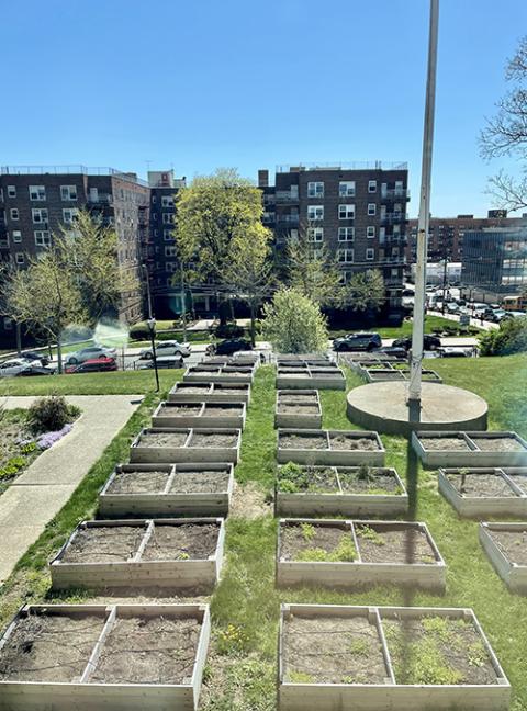 Thomas Berry Place in Queens serves as headquarters for Reconnect, which provides job opportunities for local young men. The young men manage Reconnect's monastery farm, which is pictured here. (Courtesy of Milton Javier Bravo)