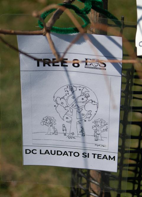 Tree sponsored by Daughters of Charity Laudato Si Team.jpeg Laudato Trees, a volunteer-led effort to plant trees at Catholic properties in the Washington, D.C., area, helped coordinate a tree planting March 20 at Elizabeth Seton High School in Bladensburg, Maryland. (Elizabeth Seton High School/Perry Wargo)