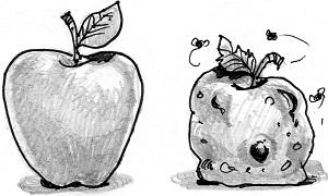 good and bad fruit