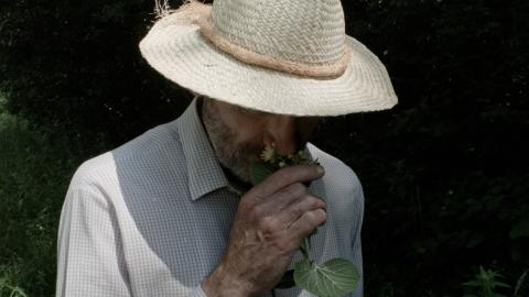 Paleobotanist Mark Brown. Paleobotanist Mark Brown.