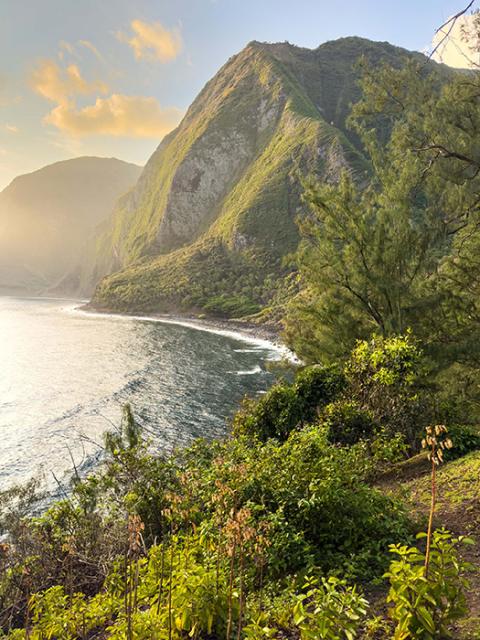 Molokai's northern coastline is punctuated by sea cliffs. (National Park Service/Dewitt Jones) Molokai's northern coastline is punctuated by sea cliffs. (National Park Service/Dewitt Jones)