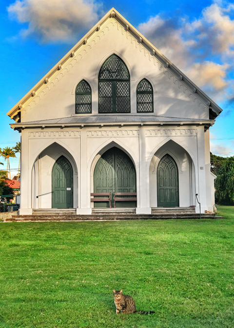One of Fr. Pat Killilea's cats poses outside St. Francis Catholic Church in Kalaupapa. (National Park Service/Dewitt Jones) One of Fr. Pat Killilea's cats poses outside St. Francis Catholic Church in Kalaupapa. (National Park Service/Dewitt Jones)