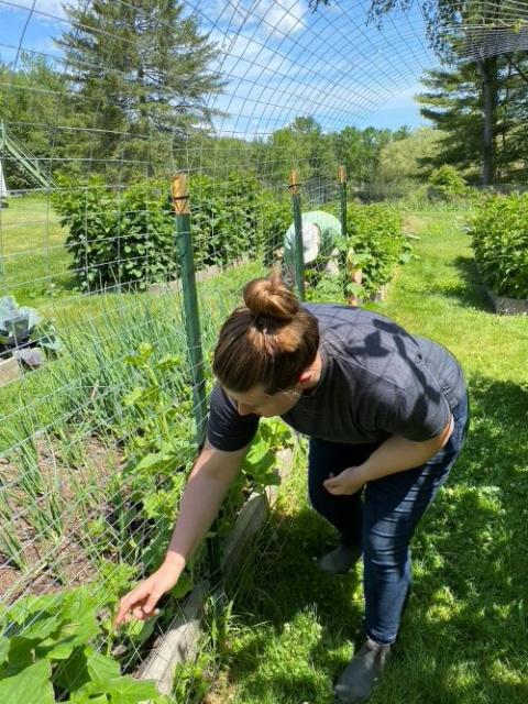 Bekah Kornblum of Dallas calls working in the gardens a time of "adoration." (Marybeth Redmond)