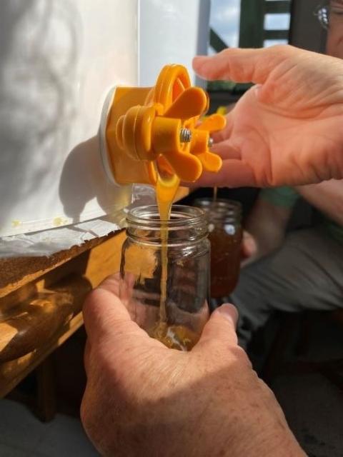 Jars of honey filled at the Mercy Ecospirituality Center, in Benson, Vermont. (Kayla Buxton)