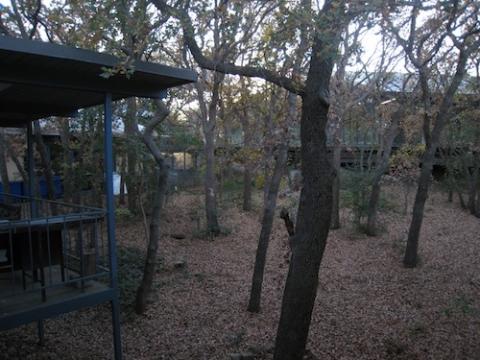 A view of the printmaking studios through a grove of trees in the Haggerty Art Village at the University of Dallas (Wikimedia Commons/Printcode17)