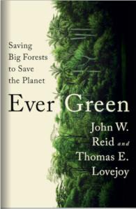 Book cover of "Ever Green"