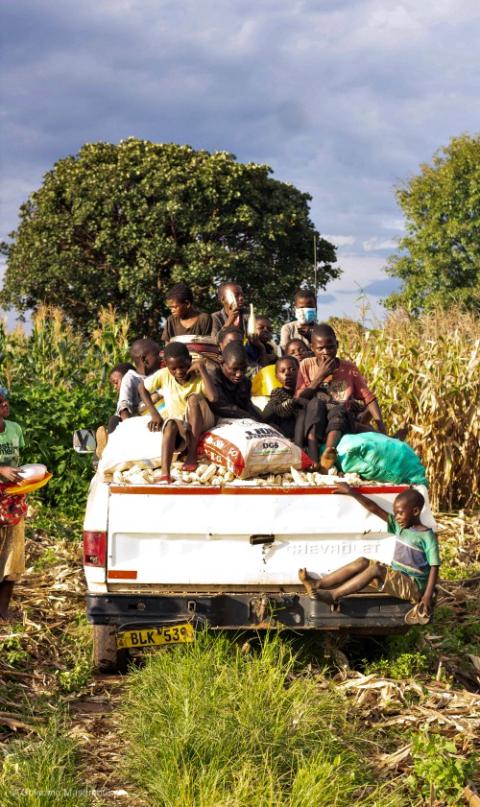 A week after the government of Malawi shut down schools because of the coronavirus pandemic, children ride along on a truck during the harvest March 18. (Wikimedia Commons/Chisomo Masambuka)