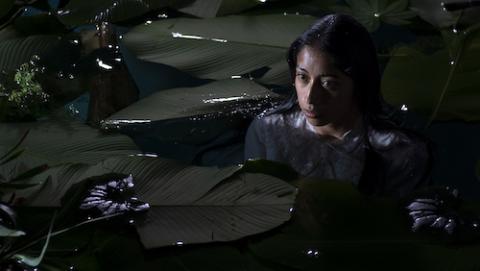 Head and shoulders of young dark-haired woman emerging from a lily pond at night
