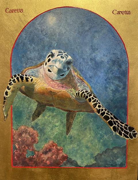 "Loggerhead Sea Turtle" by Angela Manno (Jim McDermott)