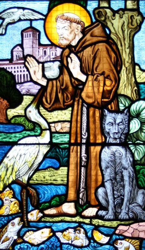 Why is Francis of Assisi the patron saint of ecology? | National Catholic  Reporter