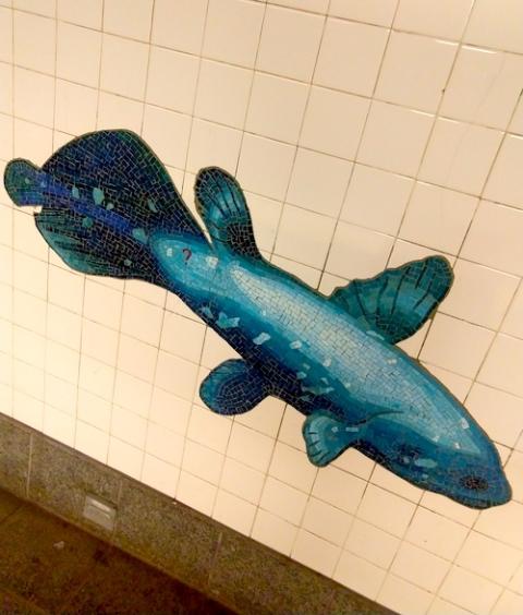 Picture of a blue mosaic fish set amid white square tiles lining the NYC subway