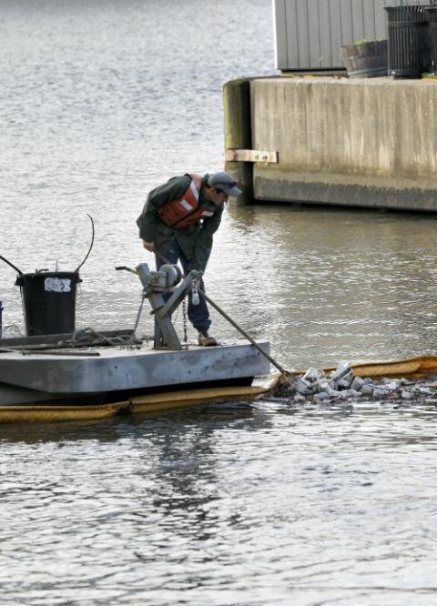 A worker collects trash in a containment along Baltimore's Inner Harbor June 11. (CNS/Bob Roller)