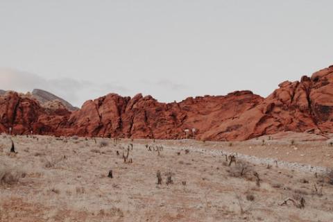 Desert scene (Unsplash/Neonbrand) Desert scene (Unsplash/Neonbrand)