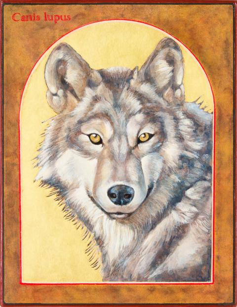 "Canis Lupus, the Grey Wolf," Angela Manno, 2019, egg tempera and gold leaf on wood (Courtesy of the artist) "Canis Lupus, the Grey Wolf," Angela Manno, 2019, egg tempera and gold leaf on wood (Courtesy of the artist)