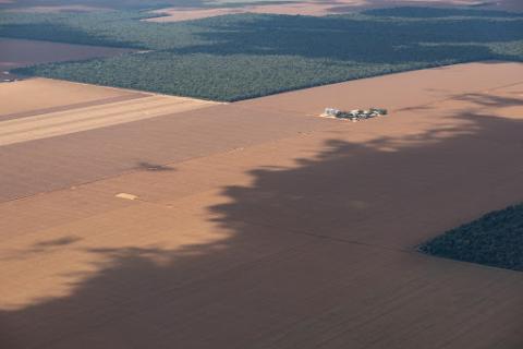 Deforestation threatens Amazon forests.  (Paulo Brando/Woods Hole Research Center)