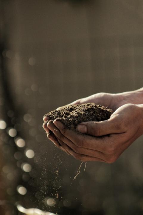 Regenerative agriculture improves soil health. (Gabriel Jimenez/Unsplash)