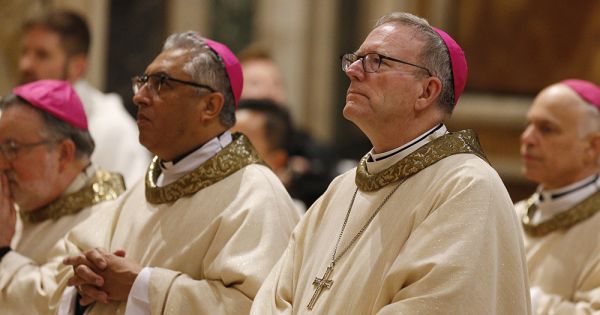 Here's hoping Bishop Barron settles in to new job leading a Minnesota diocese - National Catholic Reporter
