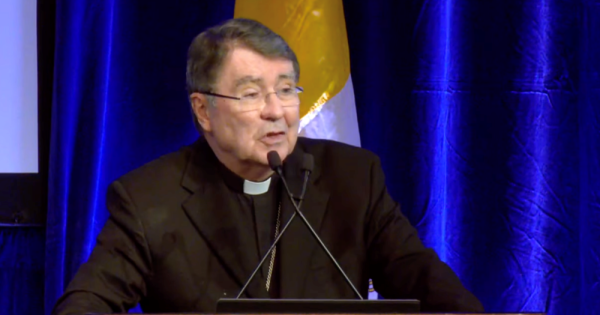 Vatican ambassador urges US bishops to embrace synod on synodality ...