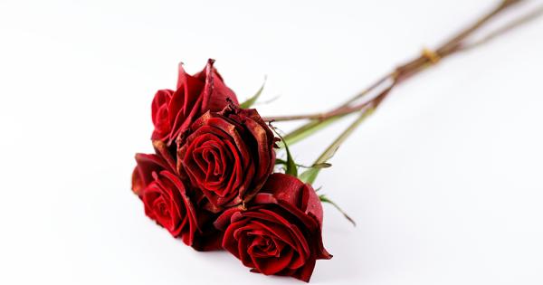 The day I beheld God in three red roses - Vimarsana News