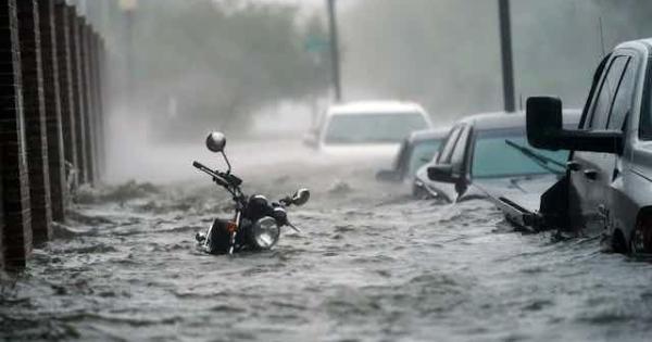 The warming ocean is leaving coastal economies in hot water - Vimarsana News