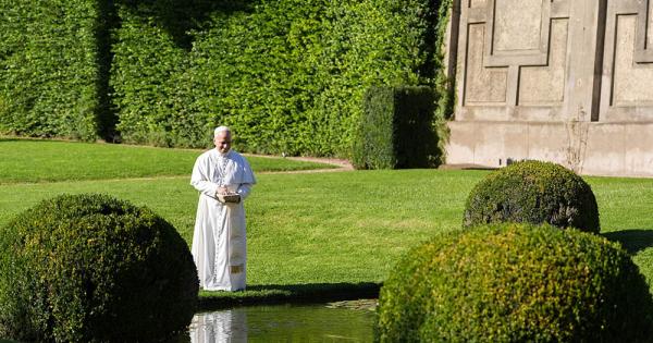 One year in, Pope Leo forges ahead with Francis' ecological legacy