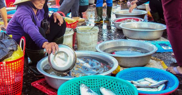 Vietnam's coastal Catholics hold the scars of Formosa disaster 10 years later
