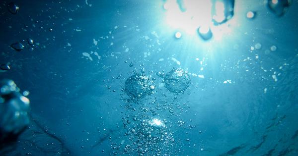 During the Season of Creation, remember the living water that sustains all life