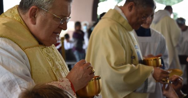 Links: Cardinal Burke to celebrate Mass, Democrats need to talk economics, the New Right of American politics