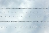 Barbed wire and sky (Unsplash/Robert Klank)