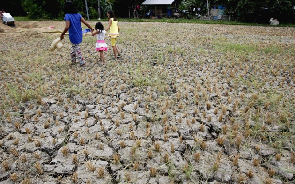 A woman and children walk through a drought-stricken rice field in Cebu, Philippines, in April 2016. (CNS/Reuters/Jay Rommel Labra)