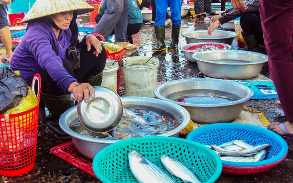 Thi Mai sells fish at a market in Hue, Vietnam, on Apr. 4, 2026. She echoes a  sentiment common among locals who believe the chemical alteration of the water after the Formosa marine disaster has stunted the growth and quality of the catch. (Photo: Reporter in Vietnam)