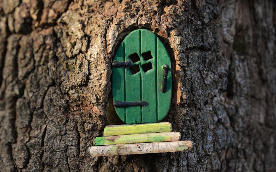 Small green wooden fairy door set in a tree trunk (Dreamstime/Amani A)