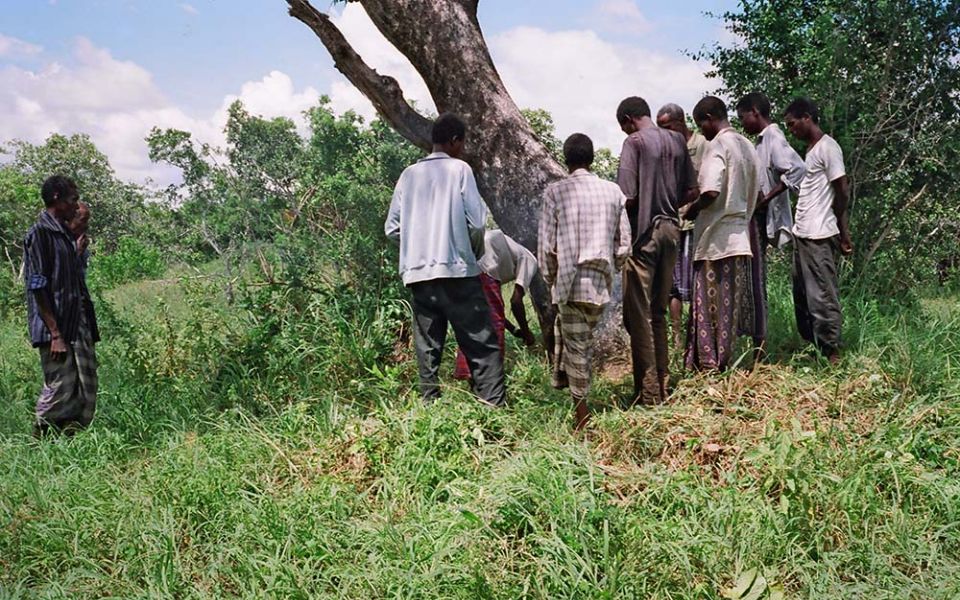 Anweer men pray at a horrop tree in the Boni region of Kenya. (Mark Faulkner)