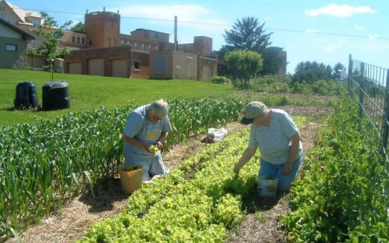 Franciscan Sisters of Perpetual Adoration work in the garden at their Greenfield, Wisconsin, property. The sisters have permanently committed the former farmland for sustainability and ecological projects. (FSPA)