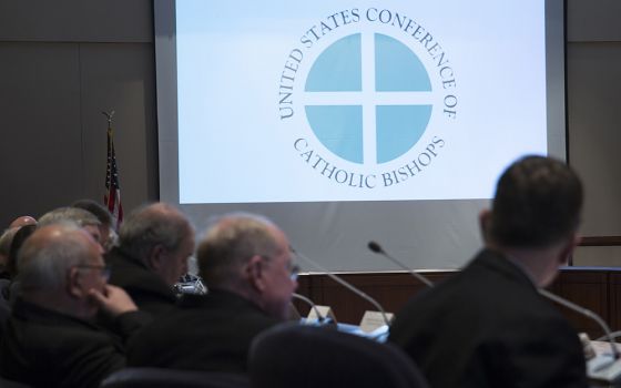 Bishops meet at the headquarters of the U.S. Conference of Catholic Bishops in Washington, D.C., in January 2018. (CNS/Tyler Orsburn)