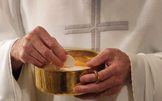 A priest prepares to distribute Communion during Mass in Washington. (CNS/Bob Roller)