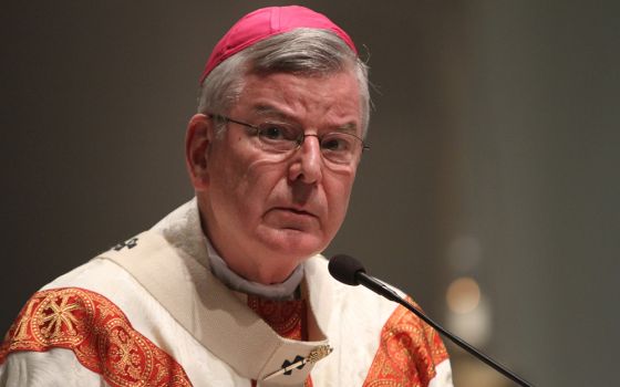 In this 2015 file photo, Archbishop John Nienstedt is seen in the Archdiocese of St. Paul and Minneapolis. (CNS/The Catholic Spirit/Dave Hrbacek)