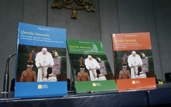 Copies of Pope Francis' apostolic exhortation, "Querida Amazonia" ("Beloved Amazonia"), are pictured at a news conference for the release of the exhortation at the Vatican Feb. 12. (CNS/Paul Haring)