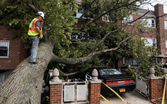A New York City worker climbs on a tree to look at the damage it has caused to a house and car during the clean-up after Tropical Storm Isaias in Queens, N.Y., Aug. 5, 2020. High winds associated with the storm toppled trees and disabled utility lines in 