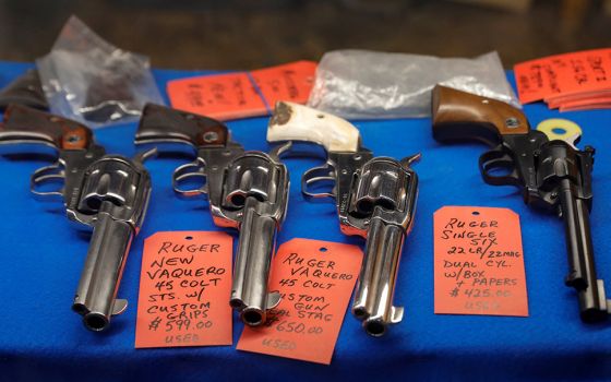 Guns are displayed in a case at Master Class Shooting Range in Monroe, New York, July 30, 2020. (CNS/Reuters/Brendan McDermid)